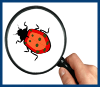software_website_testing_training