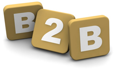 b2b portal development services bikaner india