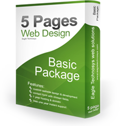 website design services india