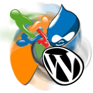 cms website development services india bikaner