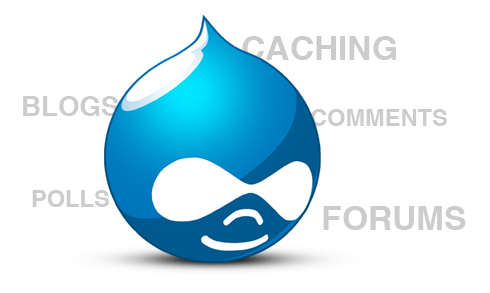 Drupal Development Services