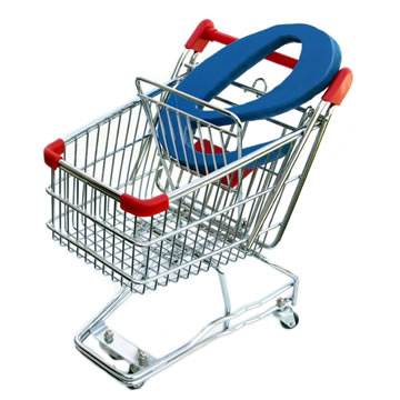 ecommerce website design services india bikaner