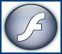 flash website design services india bikaner