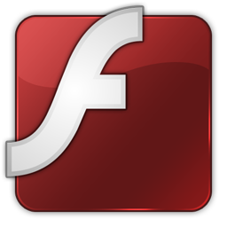 flash website design services india bikaner