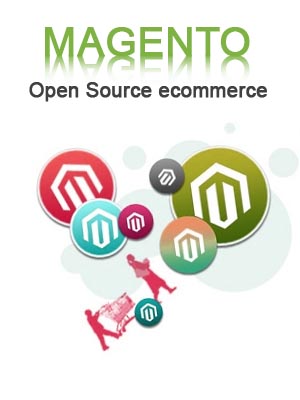static website design services india bikaner